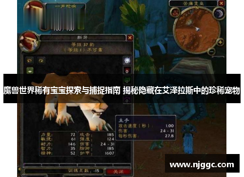 魔兽世界稀有宝宝探索与捕捉指南 揭秘隐藏在艾泽拉斯中的珍稀宠物
