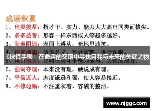《抉择手镯:在命运的交错中寻找自我与未来的关键之物》 《抉择手镯:在命运的交错中寻找自我与未来的关键之物》